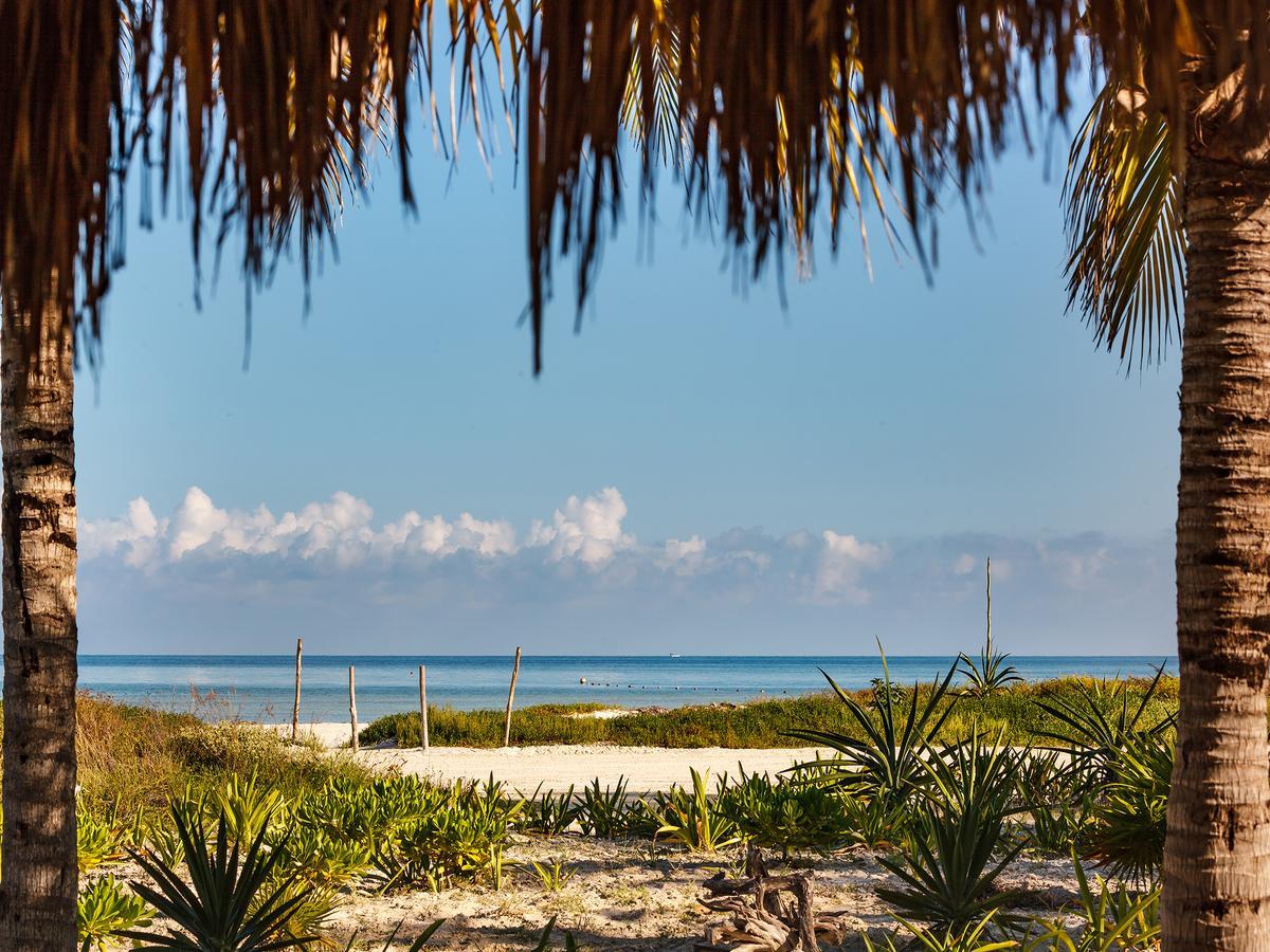 帕拉帕斯海滨hm别墅 Isla Holbox 外观 照片